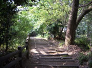 百合山遊歩道ハイキング