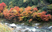 玉川峡