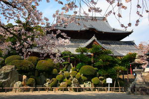 粉河寺