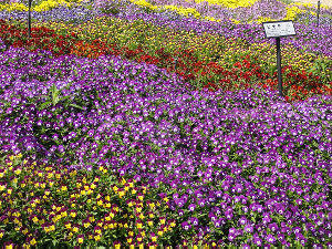 和歌山県植物公園緑化センター