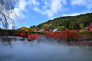 高野山