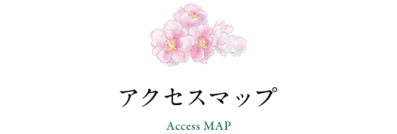 アクセスマップ Access Map